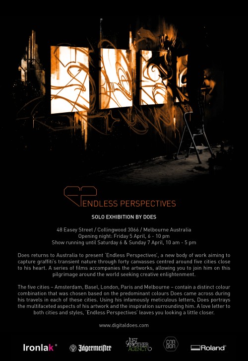 DOES - Endless Perspectives - Flyer 