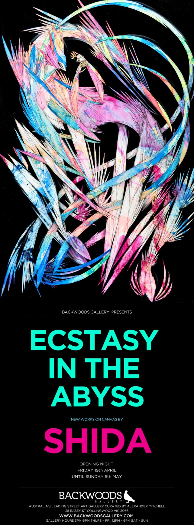 Shida - Ecstasy in the Abyss - Flyer 