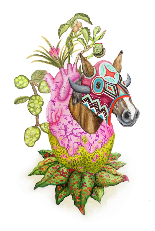 Horseheartedplant