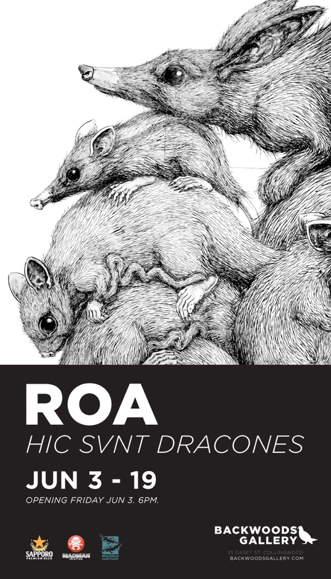 Exhibition – HIC SVNT DRACONES by ROA – Backwoods Gallery – Collingwood