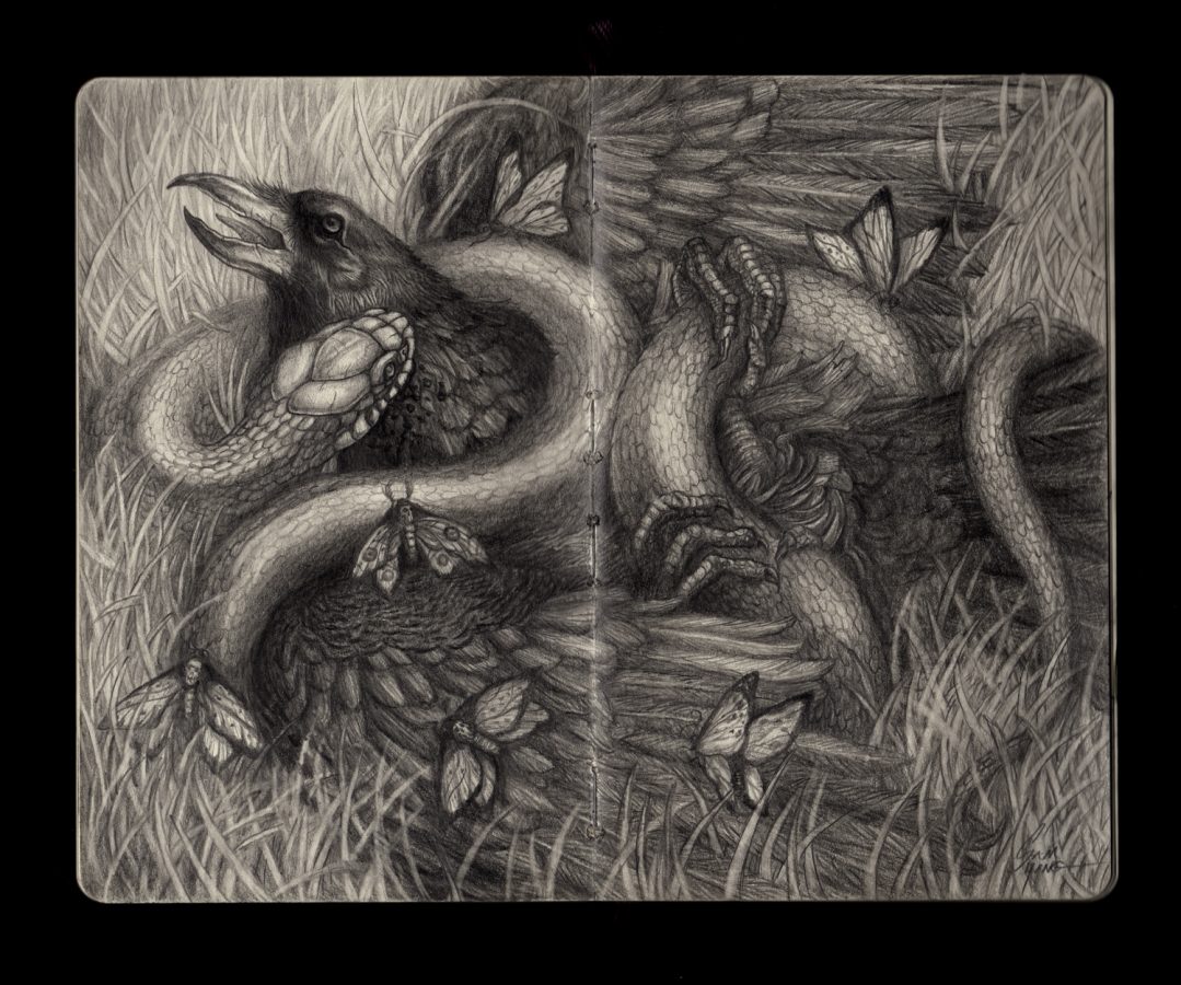 crow-snake_moleskine