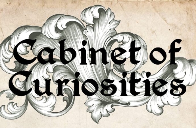 Cabinet of Curiosities – The Stockroom Gallery 31/10/19