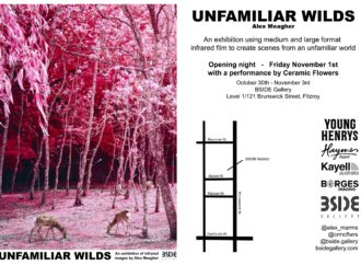 Unfamiliar Wilds by Alex Meagher – BSIDE Gallery 01/11/19