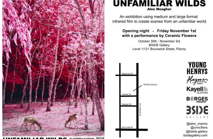 Unfamiliar Wilds by Alex Meagher – BSIDE Gallery 01/11/19