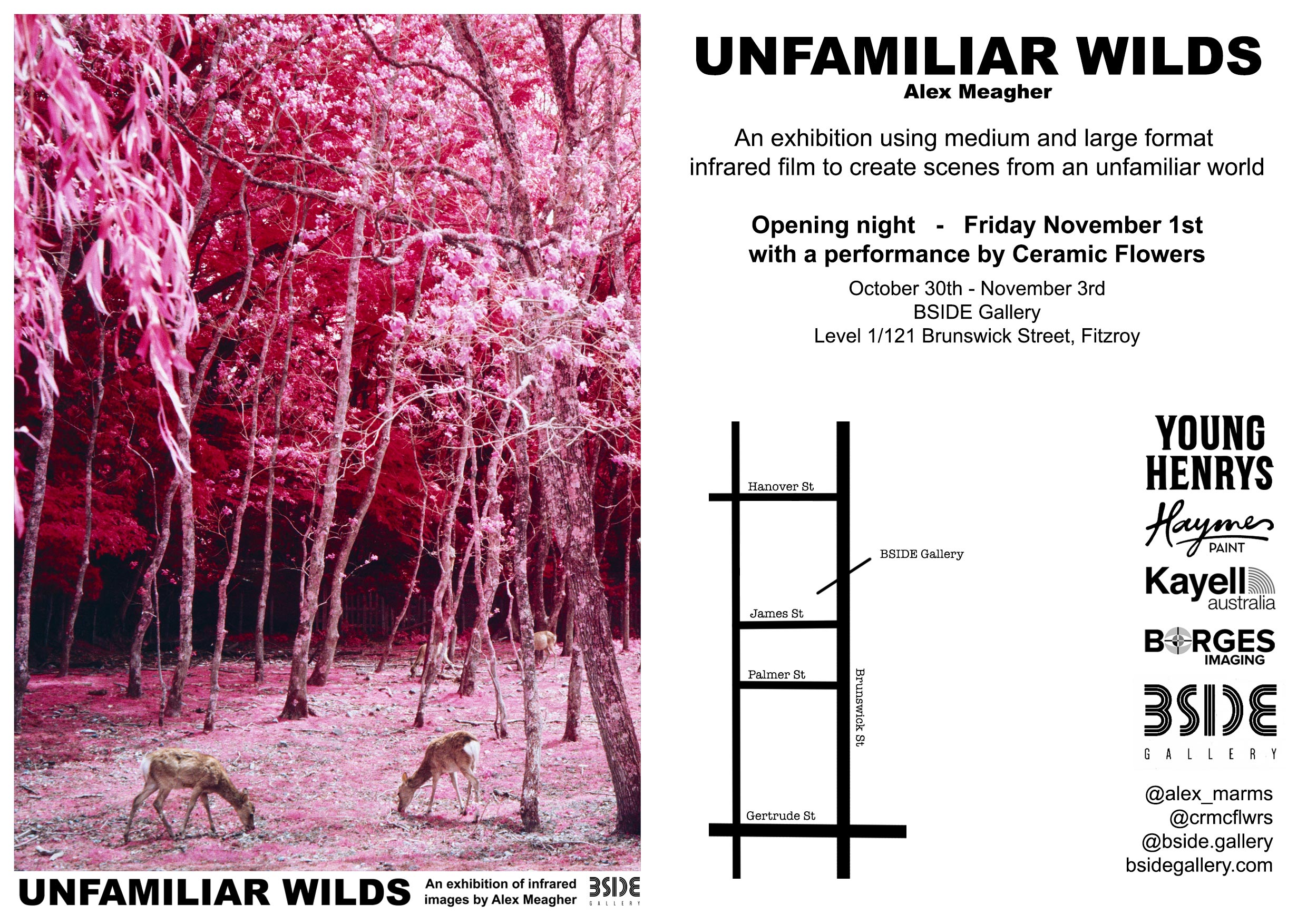 Unfamiliar Wilds by Alex Meagher